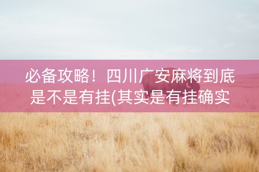 必备攻略！四川广安麻将到底是不是有挂(其实是有挂确实有挂)