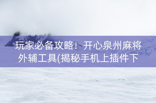 玩家必备攻略！开心泉州麻将外辅工具(揭秘手机上插件下载)