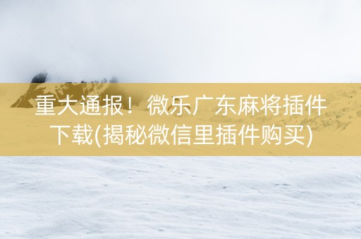 重大通报！微乐广东麻将插件下载(揭秘微信里插件购买)