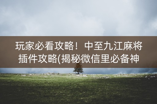 玩家必看攻略！中至九江麻将插件攻略(揭秘微信里必备神器)