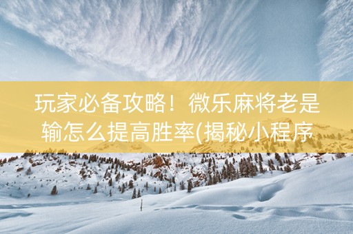 玩家必备攻略！微乐麻将老是输怎么提高胜率(揭秘小程序攻略插件)