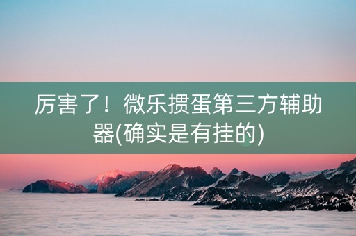 厉害了！微乐掼蛋第三方辅助器(确实是有挂的)