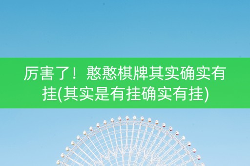 厉害了！憨憨棋牌其实确实有挂(其实是有挂确实有挂)