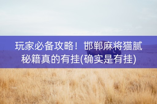 玩家必备攻略！邯郸麻将猫腻秘籍真的有挂(确实是有挂)