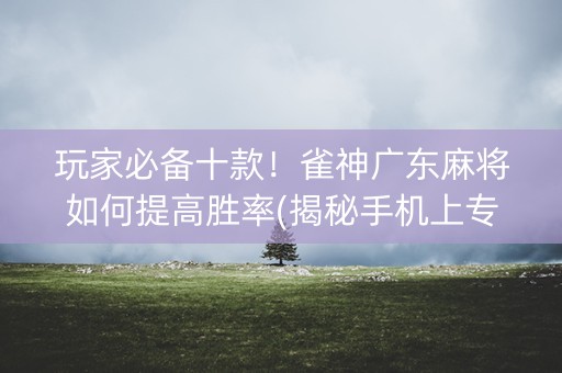 玩家必备十款！雀神广东麻将如何提高胜率(揭秘手机上专用神器下载)