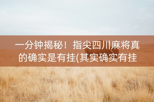 一分钟揭秘！指尖四川麻将真的确实是有挂(其实确实有挂)