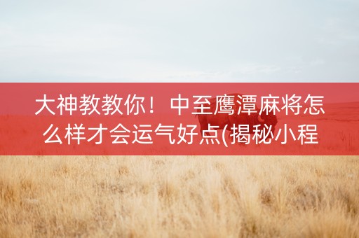 大神教教你！中至鹰潭麻将怎么样才会运气好点(揭秘小程序提高赢的概率)
