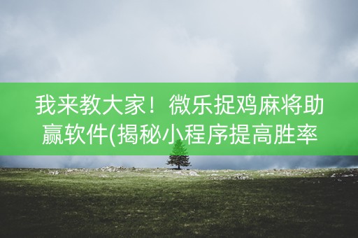 我来教大家！微乐捉鸡麻将助赢软件(揭秘小程序提高胜率)