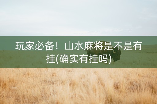玩家必备！山水麻将是不是有挂(确实有挂吗)