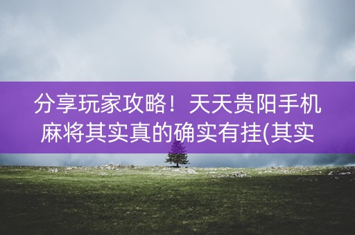 分享玩家攻略！天天贵阳手机麻将其实真的确实有挂(其实真的确实有挂)
