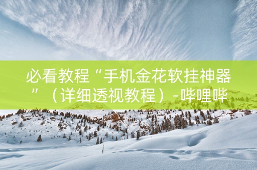 必看教程“手机金花软挂神器”（详细透视教程）-哔哩哔哩