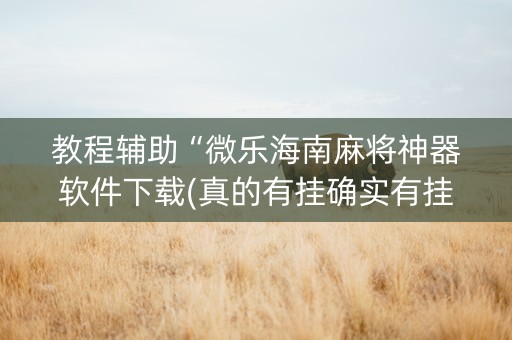 教程辅助“微乐海南麻将神器软件下载(真的有挂确实有挂)