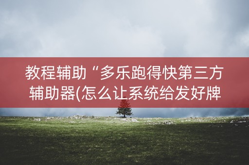 教程辅助“多乐跑得快第三方辅助器(怎么让系统给发好牌)