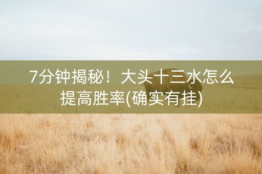 7分钟揭秘！大头十三水怎么提高胜率(确实有挂)