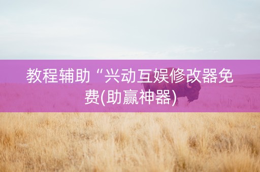 教程辅助“兴动互娱修改器免费(助赢神器)