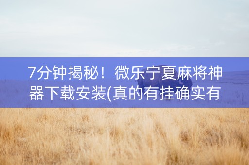 7分钟揭秘！微乐宁夏麻将神器下载安装(真的有挂确实有挂)