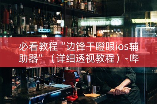 必看教程“边锋干瞪眼ios辅助器”（详细透视教程）-哔哩哔哩