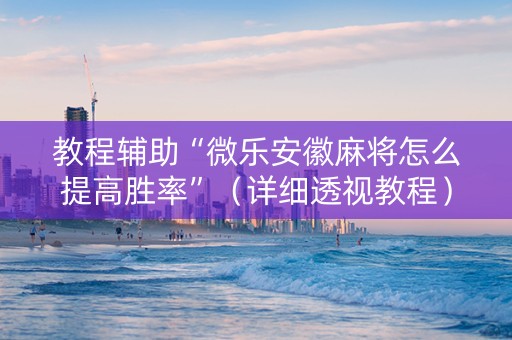 教程辅助“微乐安徽麻将怎么提高胜率”（详细透视教程）-哔哩哔哩