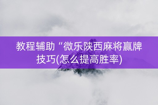教程辅助“微乐陕西麻将赢牌技巧(怎么提高胜率)