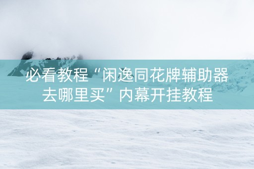 必看教程“闲逸同花牌辅助器去哪里买”内幕开挂教程