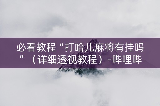 必看教程“打哈儿麻将有挂吗”（详细透视教程）-哔哩哔哩