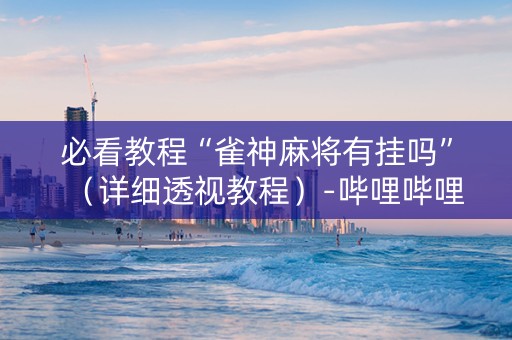 必看教程“雀神麻将有挂吗”（详细透视教程）-哔哩哔哩