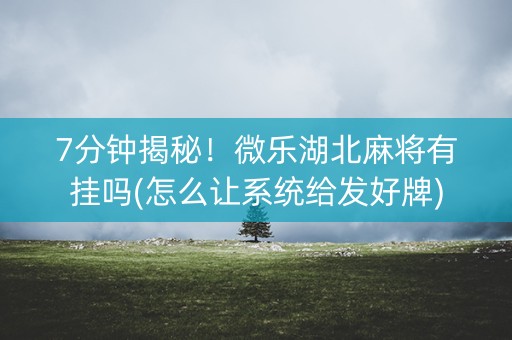 7分钟揭秘！微乐湖北麻将有挂吗(怎么让系统给发好牌)