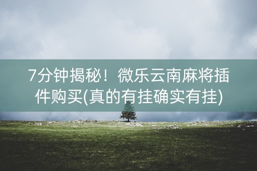 7分钟揭秘！微乐云南麻将插件购买(真的有挂确实有挂)
