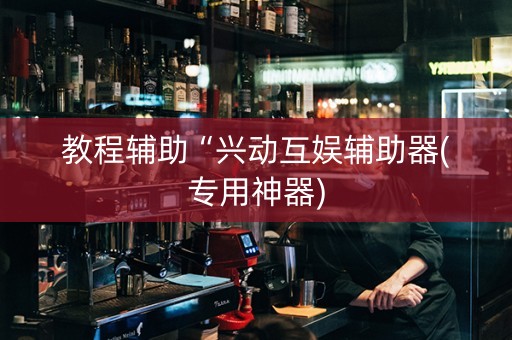 教程辅助“兴动互娱辅助器(专用神器)