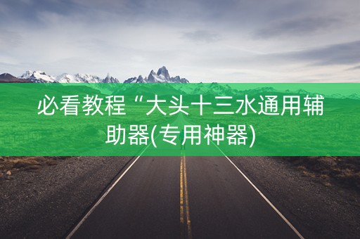 必看教程“大头十三水通用辅助器(专用神器)