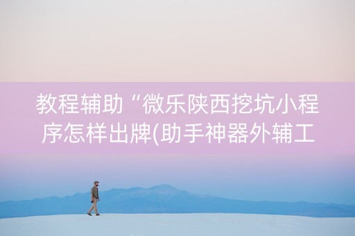 教程辅助“微乐陕西挖坑小程序怎样出牌(助手神器外辅工具)