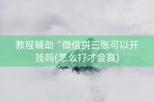 教程辅助“微信拼三张可以开挂吗(怎么打才会赢)