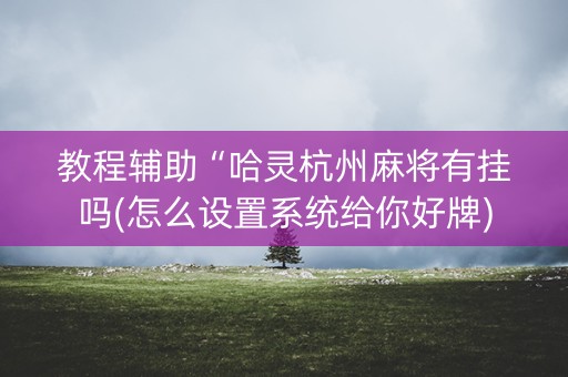 教程辅助“哈灵杭州麻将有挂吗(怎么设置系统给你好牌)