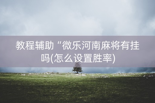 教程辅助“微乐河南麻将有挂吗(怎么设置胜率)