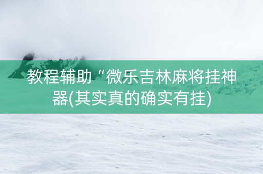 教程辅助“微乐吉林麻将挂神器(其实真的确实有挂)