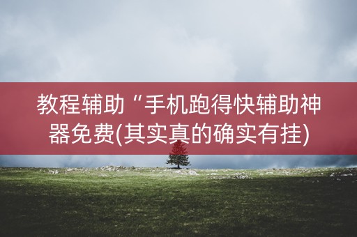 教程辅助“手机跑得快辅助神器免费(其实真的确实有挂)