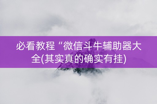 必看教程“微信斗牛辅助器大全(其实真的确实有挂)
