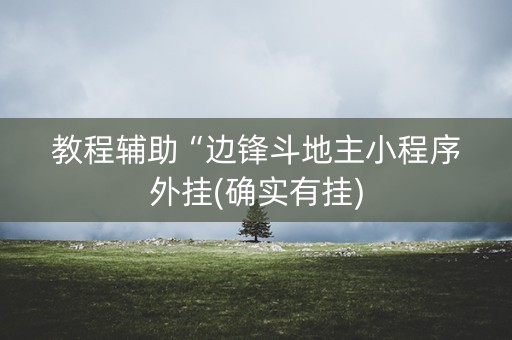 教程辅助“边锋斗地主小程序外挂(确实有挂)
