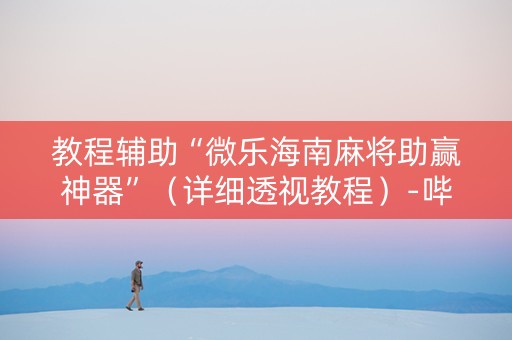 教程辅助“微乐海南麻将助赢神器”（详细透视教程）-哔哩哔哩