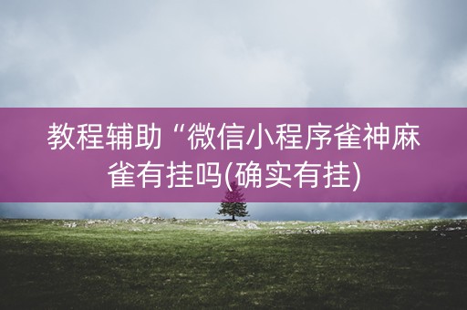 教程辅助“微信小程序雀神麻雀有挂吗(确实有挂)
