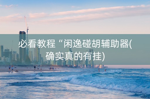 必看教程“闲逸碰胡辅助器(确实真的有挂)
