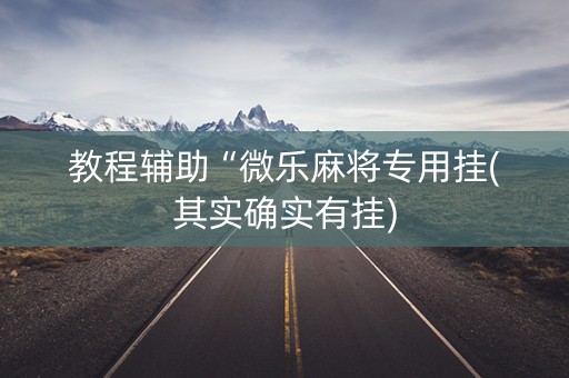教程辅助“微乐麻将专用挂(其实确实有挂)