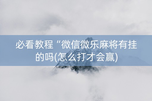必看教程“微信微乐麻将有挂的吗(怎么打才会赢)