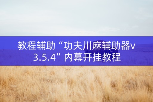 教程辅助“功夫川麻辅助器v3.5.4”内幕开挂教程