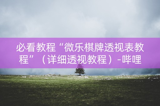 必看教程“微乐棋牌透视表教程”（详细透视教程）-哔哩哔哩