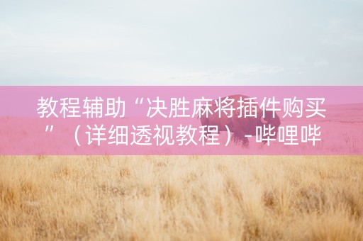 教程辅助“决胜麻将插件购买”（详细透视教程）-哔哩哔哩