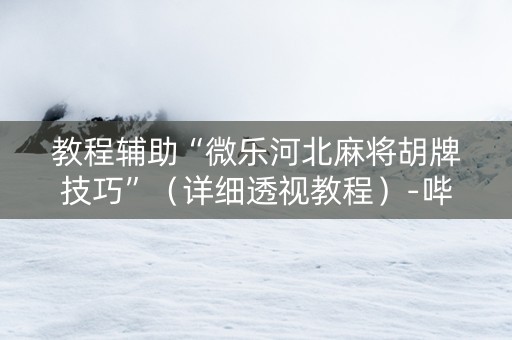 教程辅助“微乐河北麻将胡牌技巧”（详细透视教程）-哔哩哔哩