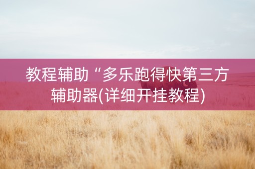 教程辅助“多乐跑得快第三方辅助器(详细开挂教程)