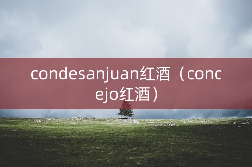 condesanjuan红酒（concejo红酒）
