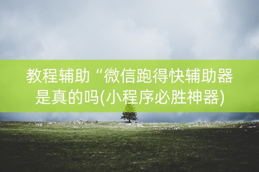教程辅助“微信跑得快辅助器是真的吗(小程序必胜神器)